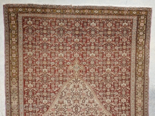 Antique 19th century Senneh / Senna Persian rug. Beautiful soft colors including a pistachio green and pale yellow, which are typical from this time period. Border has a muted yellow background with  ...