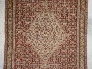 Antique 19th century Senneh / Senna Persian rug. Beautiful soft colors including a pistachio green and pale yellow, which are typical from this time period. Border has a muted yellow background with  ...