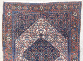 ANTIQUE SENNEH SENNA RUG
Antique Senneh / Senna rug. Early 20th century. Beautiful colors, which are probably natural. Village production. Wool pile, cotton foundation. Clean(washed by hand) and ready to use.
Very good condition ...