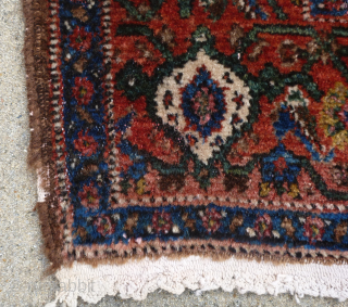 ANTIQUE SENNEH SENNA RUG
Antique Senneh / Senna rug. Early 20th century. Beautiful colors, which are probably natural. Village production. Wool pile, cotton foundation. Clean(washed by hand) and ready to use.
Very good condition ...