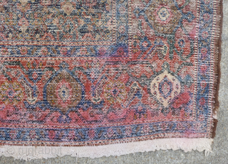 ANTIQUE SENNEH SENNA RUG
Antique Senneh / Senna rug. Early 20th century. Beautiful colors, which are probably natural. Village production. Wool pile, cotton foundation. Clean(washed by hand) and ready to use.
Very good condition ...