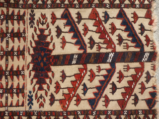 Two Antique Fragments of a Turkmen / Turkoman Tentband - Tribe?

Two fragments of a large Turkmen tentband. Circa 1900 +/-. Beautiful colors including some aubergine. Wool with white cotton knots. I will  ...