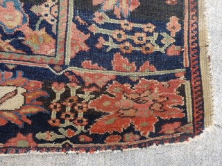 Antique Fereghan / Farahan / Ferahan rug.  Late 19th century to early 20th century. Beautiful design with interesting small secondary borders. Most colors are probably natural though one end has a  ...