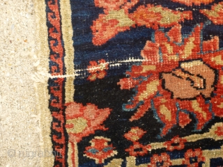 Antique Fereghan / Farahan / Ferahan rug.  Late 19th century to early 20th century. Beautiful design with interesting small secondary borders. Most colors are probably natural though one end has a  ...