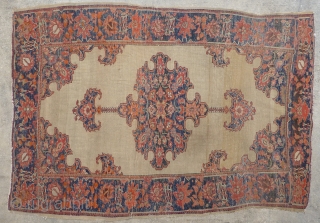 Antique Fereghan / Farahan / Ferahan rug.  Late 19th century to early 20th century. Beautiful design with interesting small secondary borders. Most colors are probably natural though one end has a  ...