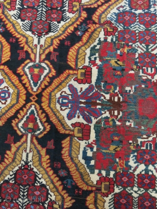 Baktiari main carpet, fine wool with full pile on cotton, circa 1900 or earlier size: 153" X 73"  -- 398 cm X 152 cm        