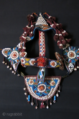 Sothwest of Persia- glass beaded Camel headwear. 19th cent.                        