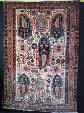 Baktiari small size garden carpet with great wool dyes and pile. single wefted. Size : 84" X 58" - 216 cm X 147 cm         