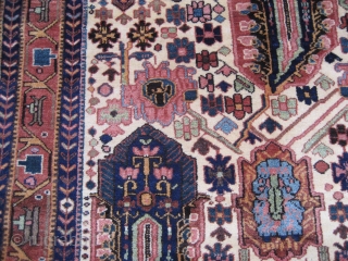 Baktiari small size garden carpet with great wool dyes and pile. single wefted. Size : 84" X 58" - 216 cm X 147 cm         
