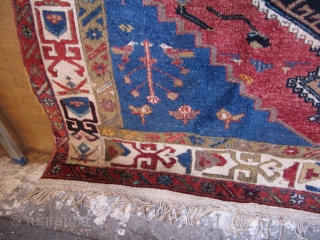 East Anatolian Gaziantep, Kurdish main rug. very strongly woven, mixed wool and cotton spun warps and cotton - wool wefts. Natural colors. two birds indicate that it was a Dowry rug. circa  ...