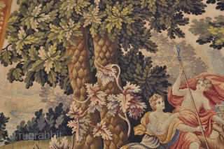 Aubusson tapestry, circa cm 243 x 180                          