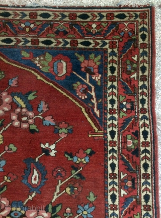 Bahtiyar Carpet size 193x143cm                             