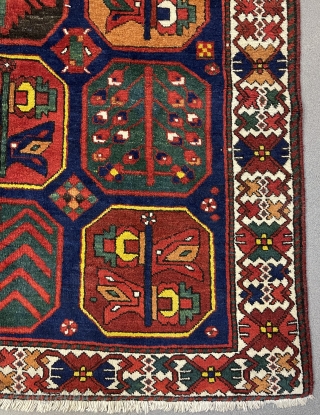 Very nice Bahtiyar carpet size 300x155cm                           