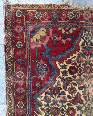 Persian bidjar rug very fine and very old circa 1820 th century size 200x120cm                   