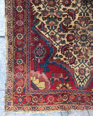 Persian bidjar rug very fine and very old circa 1820 th century size 200x120cm                   