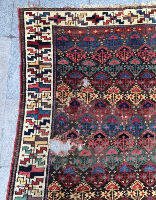 Persian Kurdish rug size 345x150cm                            