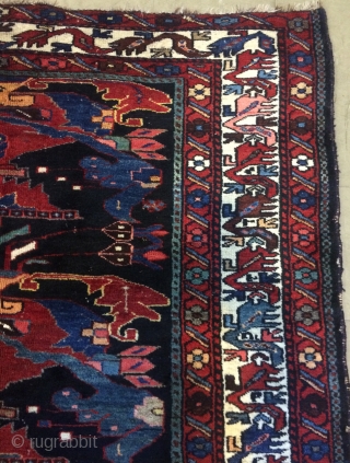 Persian Bahtiyari Carpet size 190x135cm                            