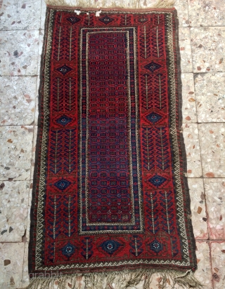 Very a rare design Beluch carpet size 147x82cm                         