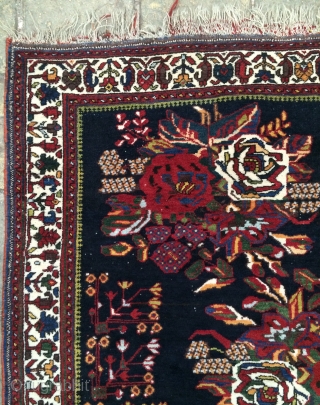 Avsar all are colors natural full conditions and very fine size 145x125cm                     