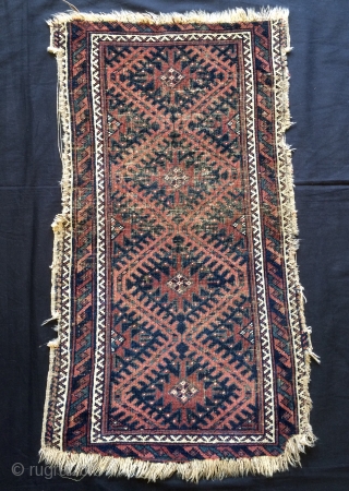 Beluch pillow.                               