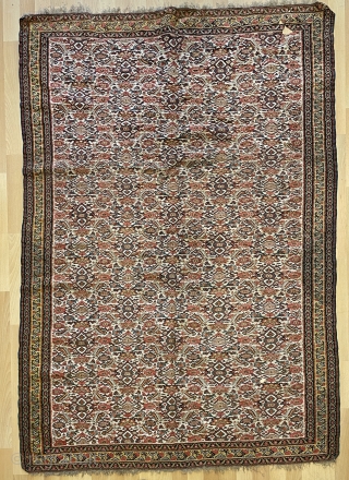 Senneh Kurdish Kilim size 180x127cm                            