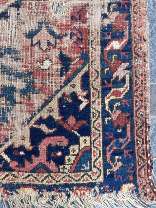 Bakhshaish rug                               