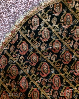 Hors cover size 90x95cm                             