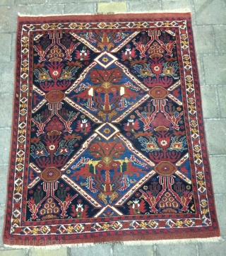 Avşar Carpet all are colors natural,
 size 160x130cm                         