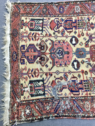 Very nice bahtiyari carpet size 300x140cm
                           