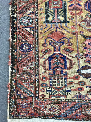 Very nice bahtiyari carpet size 300x140cm
                           