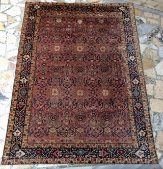 India Agra or Amritsar carpet size 223x153cm                          