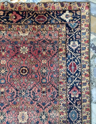 India Agra or Amritsar carpet size 223x153cm                          