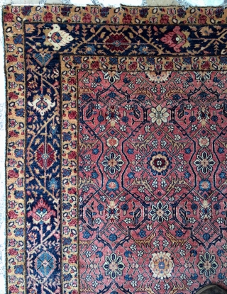 India Agra or Amritsar carpet size 223x153cm                          