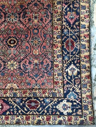 India Agra or Amritsar carpet size 223x153cm                          