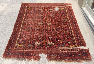 qhasgai Carpet size 170x135cm                             