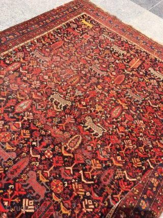 qhasgai Carpet size 170x135cm                             