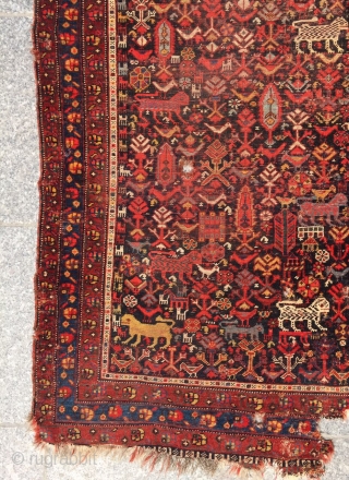 qhasgai Carpet size 170x135cm                             