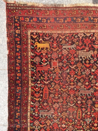 qhasgai Carpet size 170x135cm                             