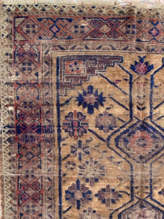 The tree of life Beluch carpet size 160x110cm                         