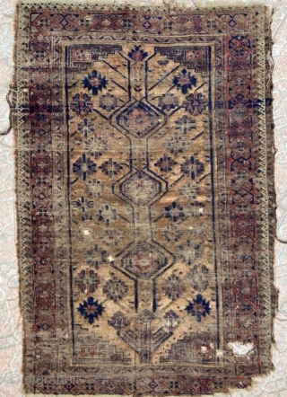 The tree of life Beluch carpet size 160x110cm                         