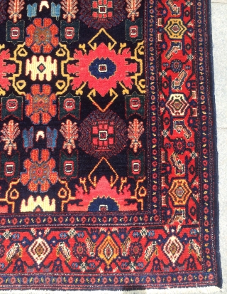 Kurdish sine carpet size 205x137cm                            