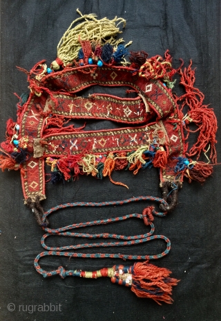 Khurdis Shahsavan camel or horse head tie.                          