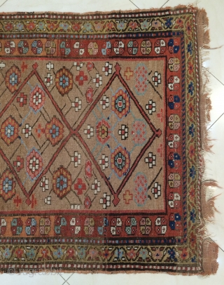 North West Kurdish Carpet size 260x110cm                           