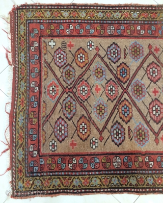 North West Kurdish Carpet size 260x110cm                           