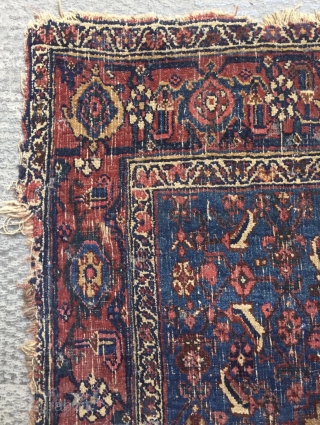 Bidjar carpet size 197x120cm
                             