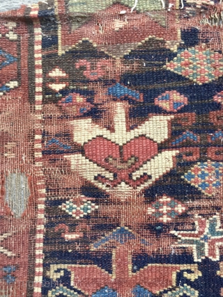 Kurdish Fragmand carpet                              