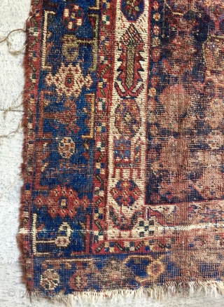 Qhaskai Carpet size 236x182 cm                            