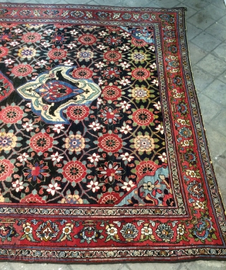 Persian northwest carpet size 470x250cm                            