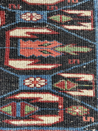 Shirvan rug size 176 x 118 cm                          