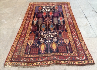 Persian rug size 260x155cm
                             